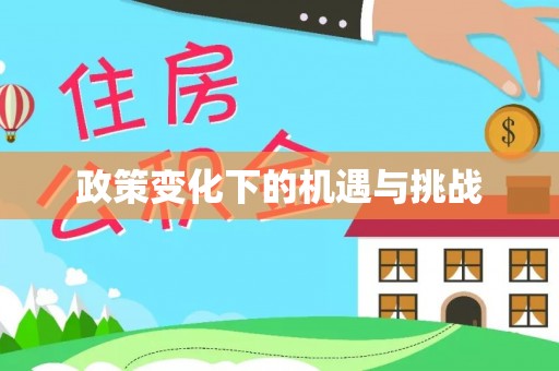 大余政策变化下的机遇与挑战