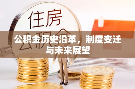 大余公积金历史沿革，制度变迁与未来展望