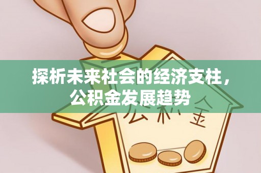大余探析未来社会的经济支柱，公积金发展趋势