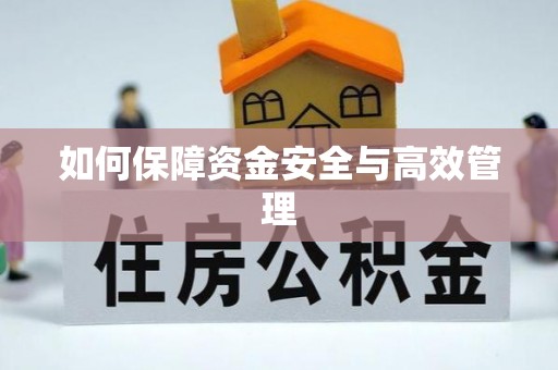 大余如何保障资金安全与高效管理
