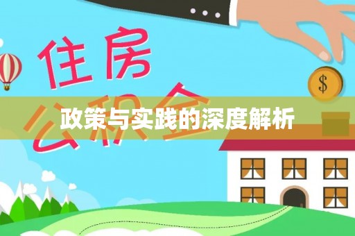 大余政策与实践的深度解析