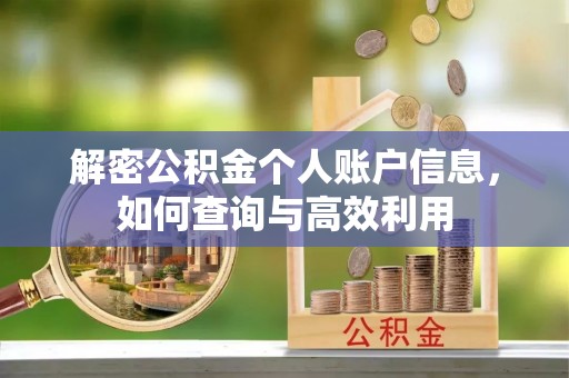 大余解密公积金个人账户信息，如何查询与高效利用