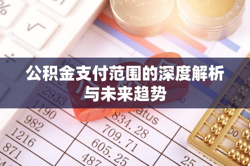 大余公积金支付范围的深度解析与未来趋势