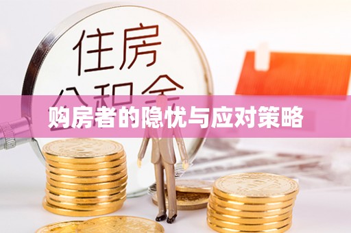大余购房者的隐忧与应对策略