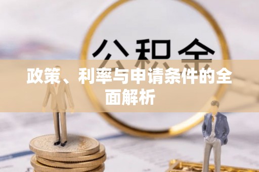 大余政策、利率与申请条件的全面解析