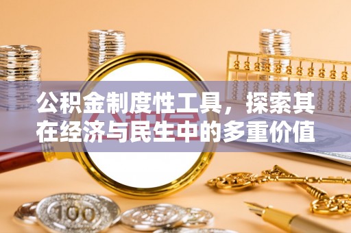 大余公积金制度性工具，探索其在经济与民生中的多重价值