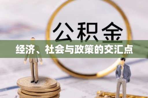 大余经济、社会与政策的交汇点