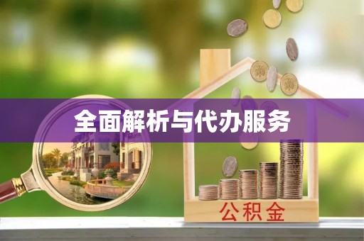 大余全面解析与代办服务