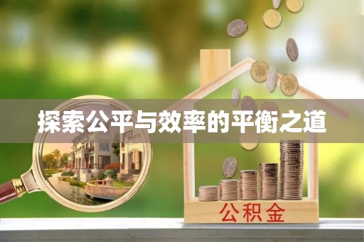 大余探索公平与效率的平衡之道