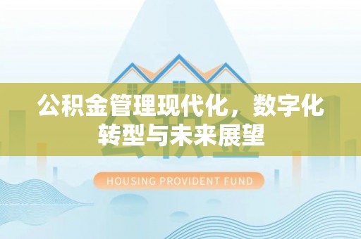 大余公积金管理现代化，数字化转型与未来展望