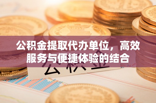 大余公积金提取代办单位，高效服务与便捷体验的结合