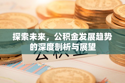 大余探索未来，公积金发展趋势的深度剖析与展望