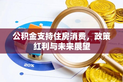 大余公积金支持住房消费，政策红利与未来展望