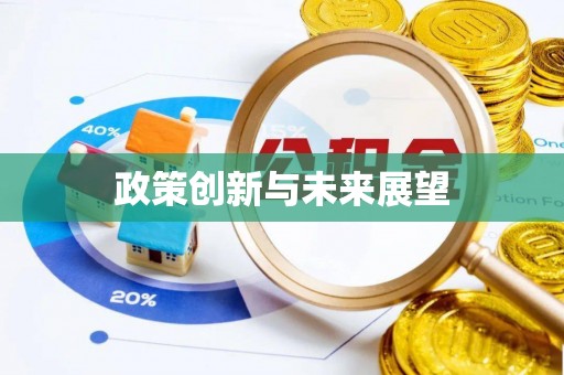 大余政策创新与未来展望