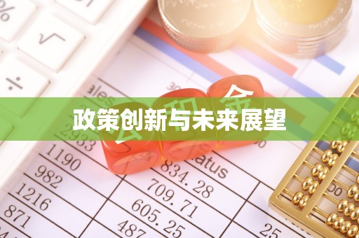 大余政策创新与未来展望