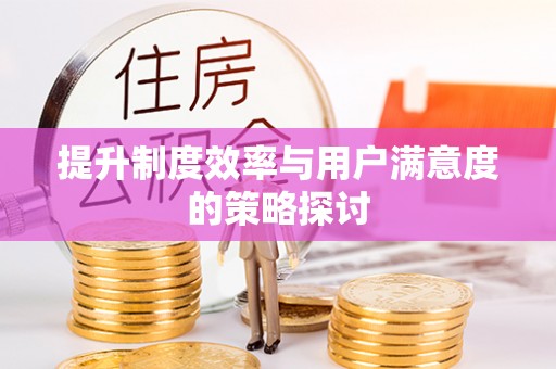 大余提升制度效率与用户满意度的策略探讨